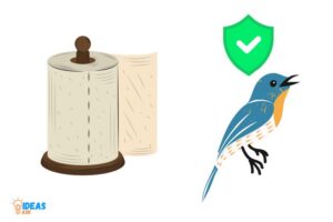 Are Paper Towel Rolls Safe for Birds