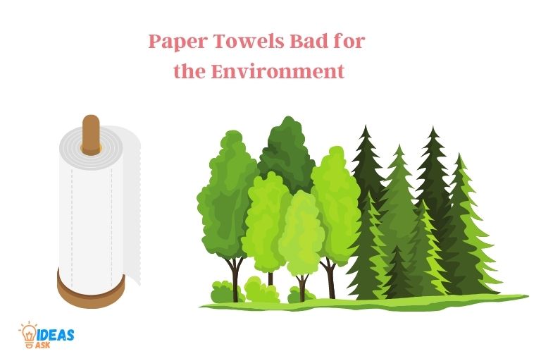 are-paper-towels-bad-for-the-environment