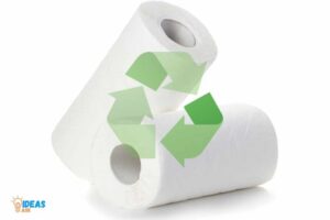 Are Paper Towels Biodegradable?