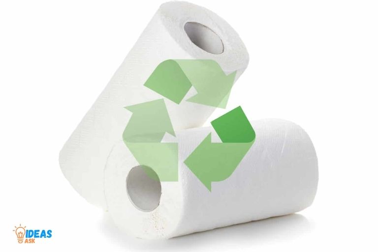 Are Paper Towels Biodegradable