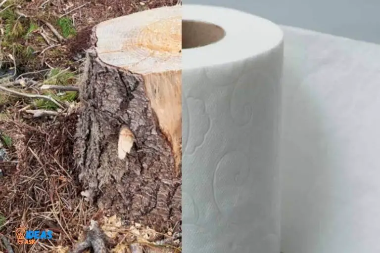 is paper towels made out of trees