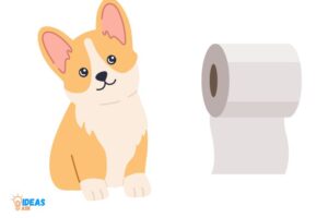 Can Dogs Eat Paper Towels?