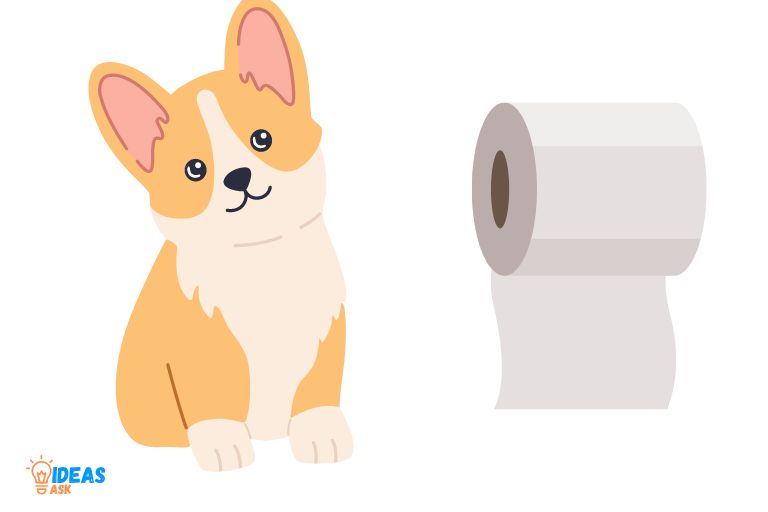 Can Dogs Eat Paper Towels