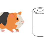 Can Guinea Pigs Eat Paper Towel Rolls