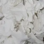 Can I Recycle Paper Towels