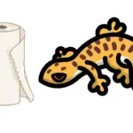 Can I Use Paper Towels for My Leopard Gecko