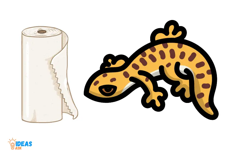 Can I Use Paper Towels for My Leopard Gecko