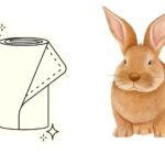 Can Rabbits Eat Paper Towels