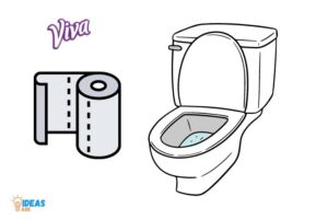 Can You Flush Viva Paper Towels? No!