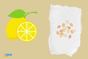 How to Germinate Lemon Seeds in Paper Towel? 7 Steps!