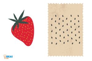 How to Germinate Strawberry Seeds in Paper Towel? 10 Steps!