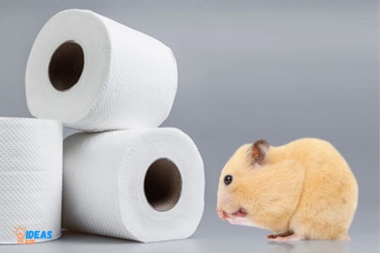 Do Mice Eat Paper Towels