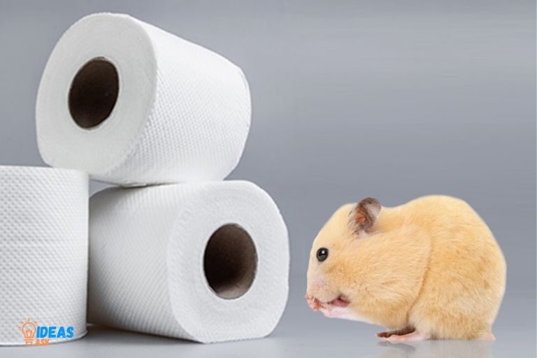 Do Mice Eat Paper Towels? Yes!