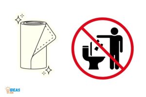 Do Not Flush Paper Towels! Reasons & Impact