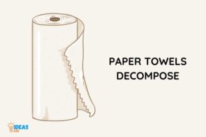 Do Paper Towels Decompose? Yes!
