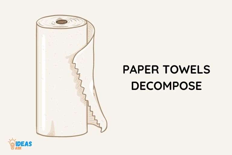 do paper towels decompose