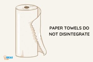 Do Paper Towels Dissolve? No!