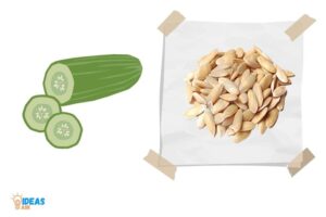 How to Germinate Cucumber Seeds in Paper Towel? 11 Steps!