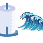 water moving up into a paper towel is attributable to
