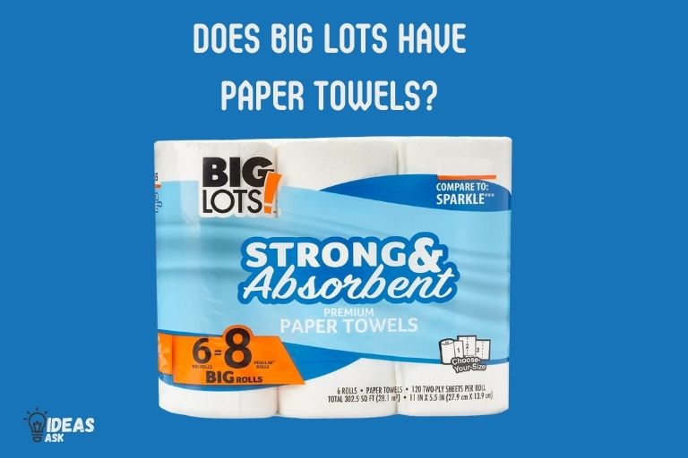 Does Big Lots Have Paper Towels