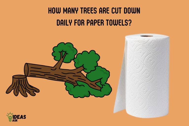 How Many Trees Are Cut Down Daily for Paper Towels