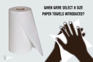 When were Select a Size Paper Towels Introduced?  1990s