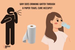 Why Does Drinking Water Through a Paper Towel Cure Hiccups?