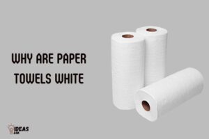 Why are Paper Towels White? Everything You Need to Know!