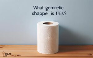 What Geometric Shape is a Roll of Paper Towels? Cylinder!
