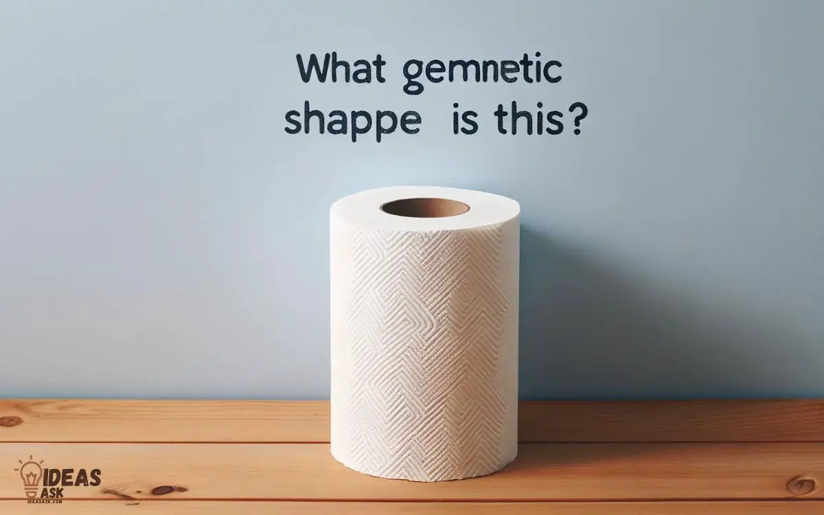 What Geometric Shape is a Roll of Paper Towels  Cylinder