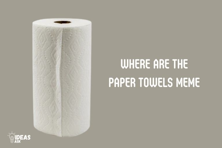 where are the paper towels meme