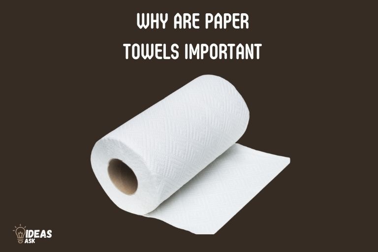 Why Are Paper Towels Important? Quick & Effective Cleaning!