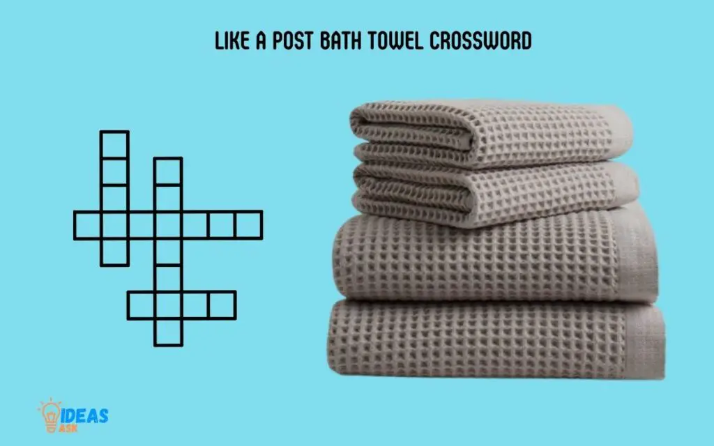 Like A Post Bath Towel Crossword: Discover