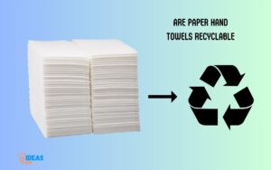Are Paper Hand Towels Recyclable? Yes!