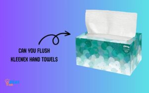 Can You Flush Kleenex Hand Towels? No!