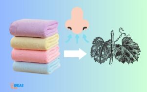 Hand Towels Smell Like Mildew: Proven Strategies!