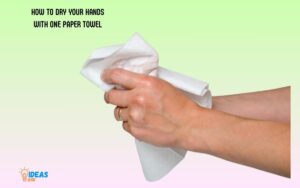 How to Dry Your Hands With One Paper Towel? Quick Steps!
