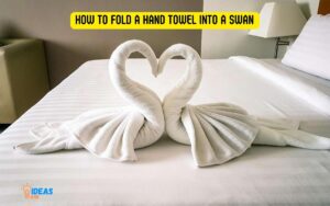 How to Fold a Hand Towel into a Swan? 4 Easy Steps!